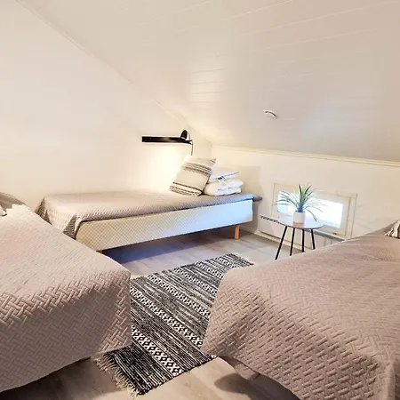 Kaepylinna A&b - 18 Hloe, Both Sides, Himos Laensihuippu Villa *